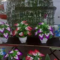 گل درختچه مصنوعی|گل مصنوعی|خنداب, |دیوار