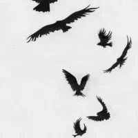 تتو با تخفیف ویژه