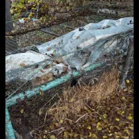 تخت آهنی با این شماره تماس بگیرید لطفآ