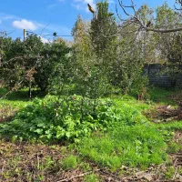 زمین-روستایی-مسکونی-سند-تک-برگ256متر