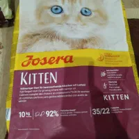 غذای گربه