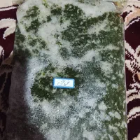 سبزی خورشتی