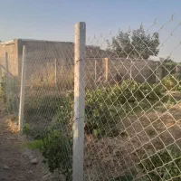 باغ ۱۰۰۰ متری در تاکستان