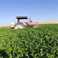 تراکتور 399 کم کار 200 ساعت