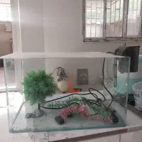 آکواریوم شیشه خم