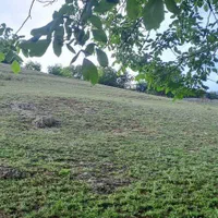 زمین متراژ بالا با ویو عالی در گیلان|فروش زمین و ملک کلنگی|رشت, بازار|دیوار