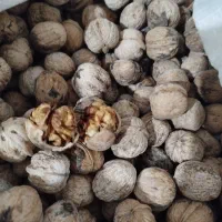 گردو شیره انگور درجه یک