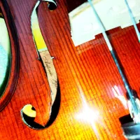 ویولن مدل آنتونی Antonio شیک و نو|ویولن|قم, کیوانفر|دیوار