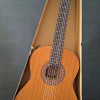 گیتار پارسی M2