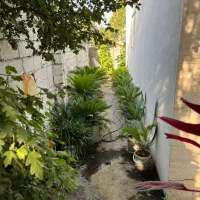 دنبال چه ویلایی هستی اینم فایل کاسبی باز دیگه چی|فروش خانه و ویلا|تهران, افسریه شمالی|دیوار