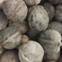 گردو خشک تازه .سرکه سیب .آبغوره