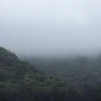 واحد ۳ خواب شیک ابریشمی