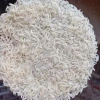 برنج فجر سیکان دره شهر