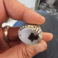 انگشتر کلکسیونی شجر قائن