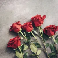گل(متن رو بخونید)