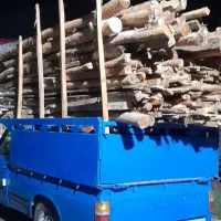 تخریب و خرید چوب|خدمات باغبانی و درختکاری|گوراب زرمیخ, |دیوار