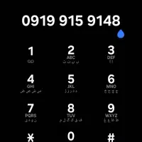 خط 919 بیلبوردی