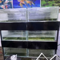 اکواریوم به همراه پایه|ماهی|ساری, |دیوار