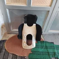 فروش کمر بند طبی