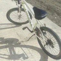 دوچرخه ویوا فروشی|دوچرخه، اسکیت، اسکوتر|بندر ترکمن, |دیوار