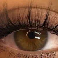 مدل اکستنشن مژه|خدمات آرایشگری و زیبایی|شیراز, قصرالدشت|دیوار