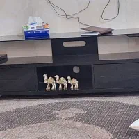 مبل