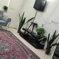 اجاره روزانه/هفتگی/ آپارتمان ۴۰۰ متری در اطلسی|اجارهٔ کوتاه‌مدت آپارتمان و سوئیت|شیراز, باغ تخت|دیوار