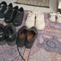 کفش و کتانی کیف نو ودرحدنو|کیف، کفش، کمربند|اندیشه, اندیشه فاز ۱|دیوار