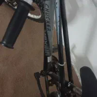 چرخ ماکسیما ۲۴|دوچرخه، اسکیت، اسکوتر|بروجرد, |دیوار