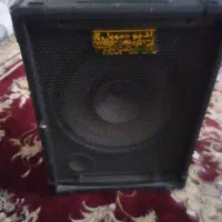 اکو همراه سالم