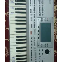 فروش یک عدد کرگpa80