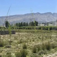 زمین-دشت-ارژن