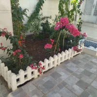 سوییت.اپارتمان.شبانه.روزانه.شهر رابر|اجارهٔ کوتاهمدت آپارتمان و سوئیت|رابر, |دیوار