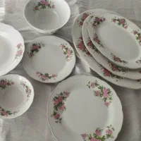 ظروف چینی گل سرخی
