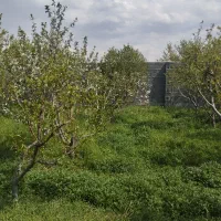 فروش-باغچه-باغ-میوه