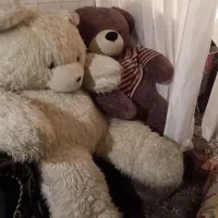 ۳تا عروسک شاسخین ولنتاین . دونه ای ۱۰۰ هزارتومان