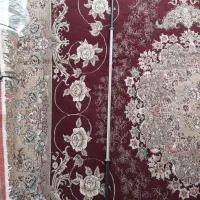 وزنه و میله هالتر|تجهیزات ورزشی|صحنه, |دیوار