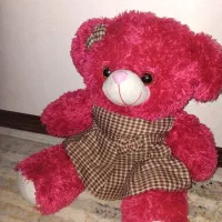 ولنتاین|صنایع دستی و سایر لوازم تزئینی|رباط‌کریم, نصیرشهر|دیوار