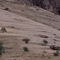 فروش-زمین-کشاورزی-هکتاری-در-زنجان
