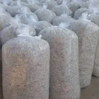 تفاله چغندر