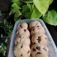 کوکی نیویورکی