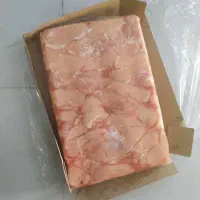 شنیسل ممتاز