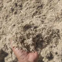 کاه|خدمات باغبانی و درختکاری|کارون, |دیوار