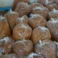 الو کبرای بخارا خرید مستقیم کشاورز|خوردنی و آشامیدنی|مشهد, موسوی قوچانی|دیوار