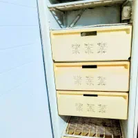 فریزر|یخچال و فریزر|کهنوج, |دیوار