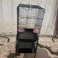 قفس کاسکو و اونواع طوطی