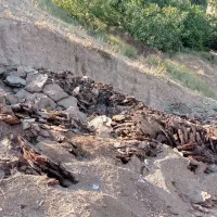 فروش فضولات گوسفندی