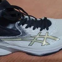 کفش والیبال ارجینال|ورزشهای توپی|تربتحیدریه, رضاشهر|دیوار