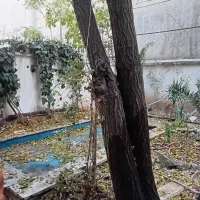 محدوده دولت پل صدر ۸۰ متر سالن با حیاط اختصاصی|اجارهٔ کوتاه‌مدت دفتر کار و فضای آموزشی|تهران, اختیاریه|دیوار