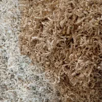 خاک اره و پوشال خراطی